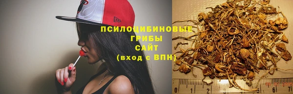 герыч Ельня