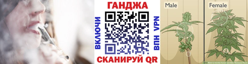 это как зайти  Невель  Марихуана гибрид  купить   МЕГА как войти 